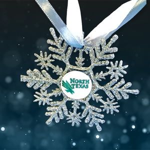 Univ Of North TX MEAN GREEN Handmade Snowflake *NEW*